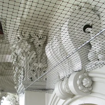 Bird Netting