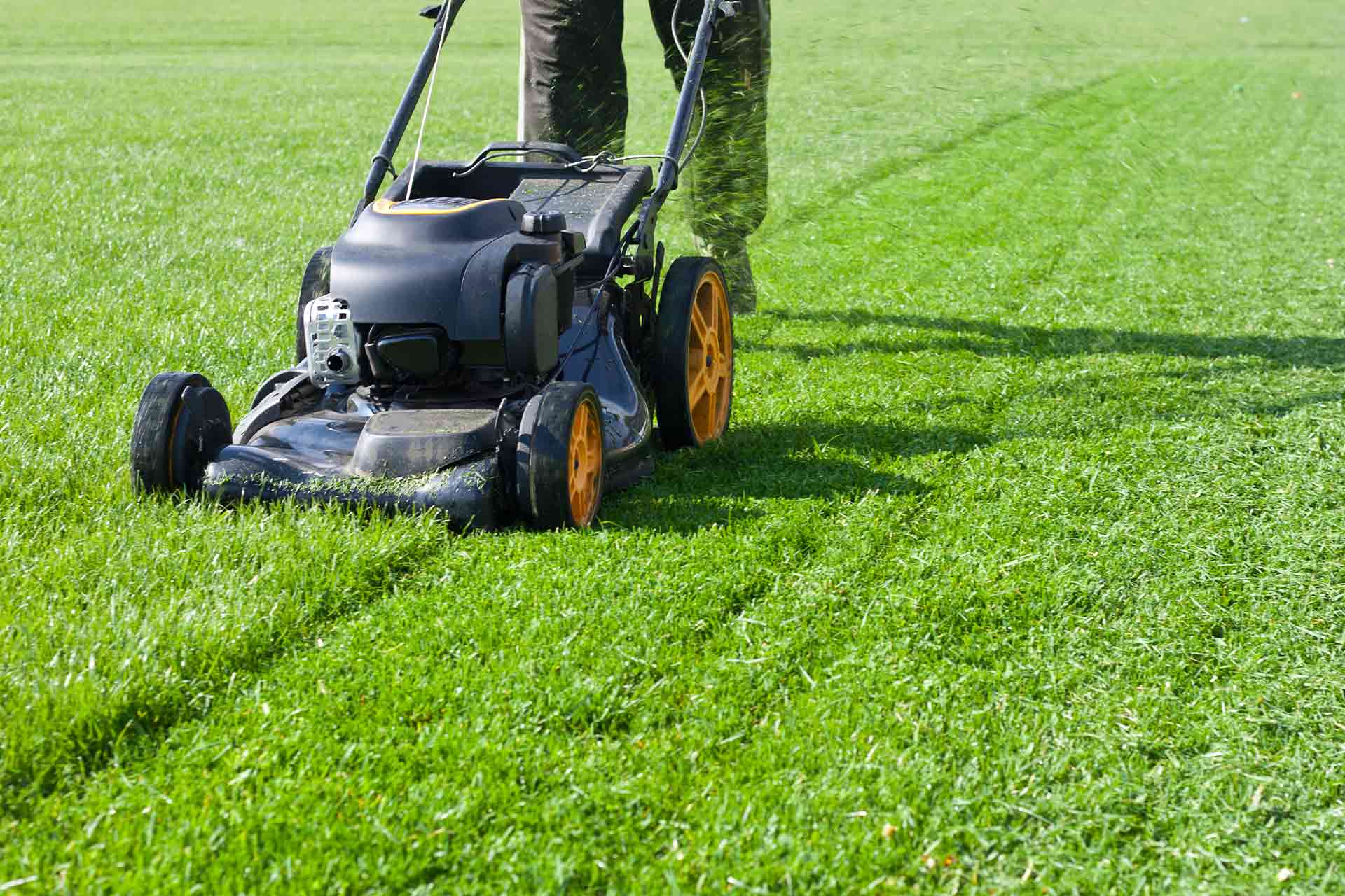 Mobile Lawn Mower Maintenance Service