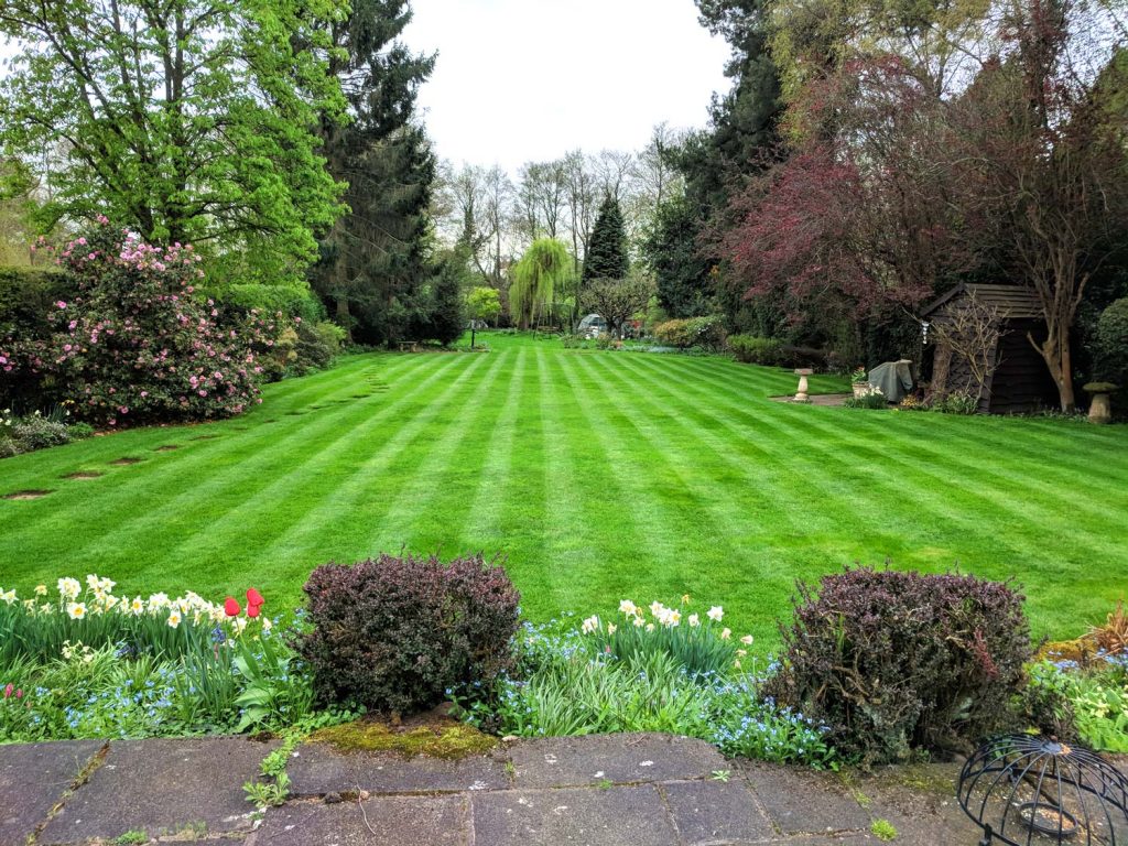 Garden Maintenance