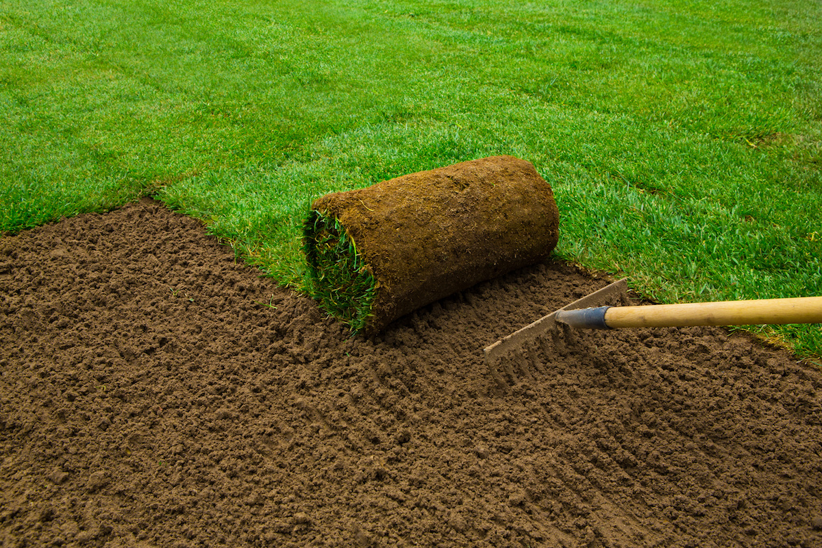 Sod Installation