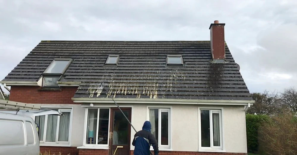 Biocide roof treatment
