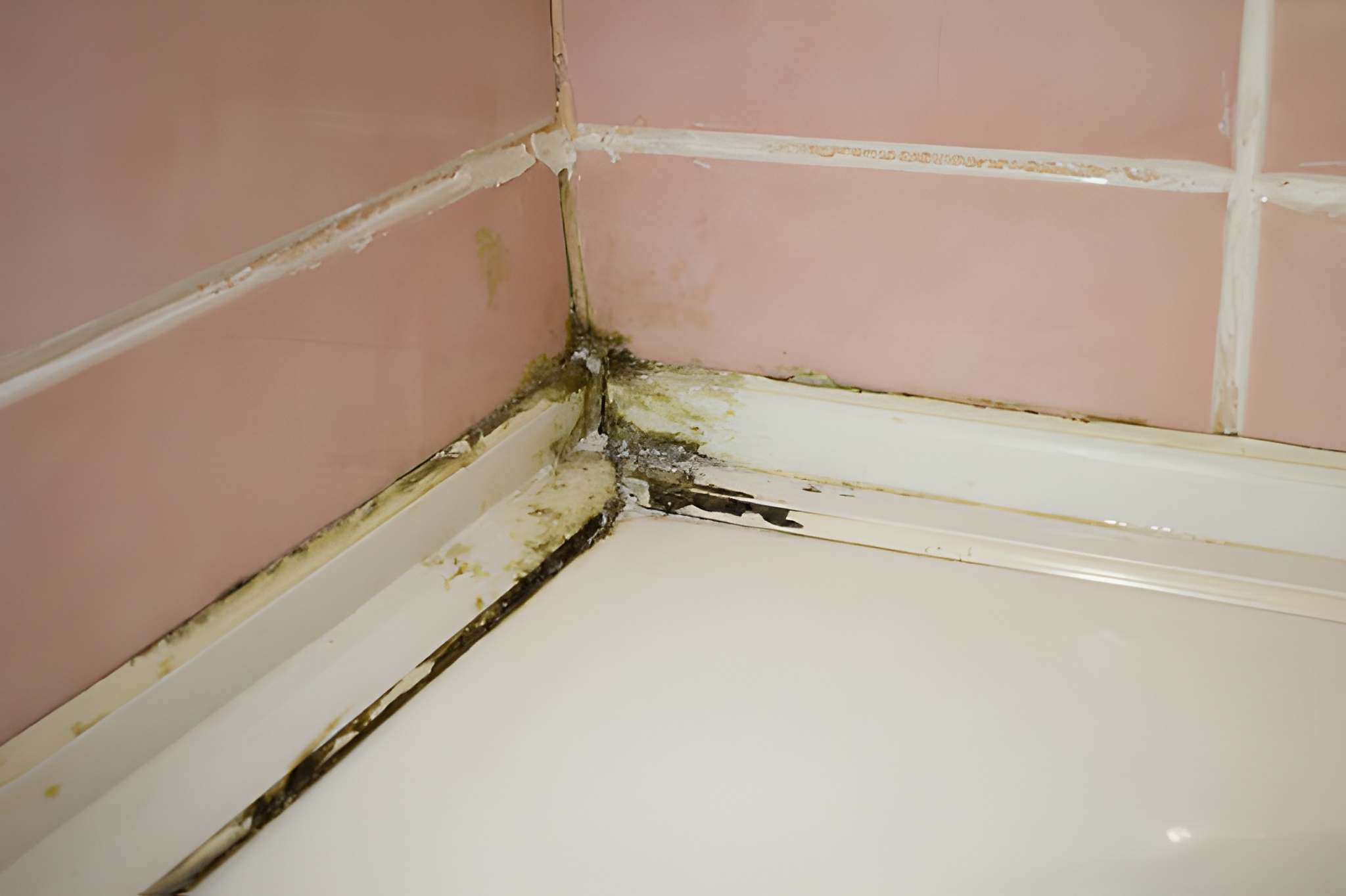 Damp and Mould Treatment Works