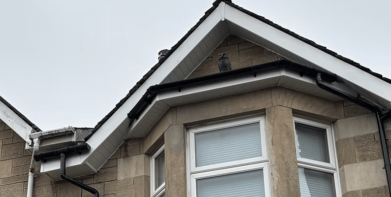 ROOFLINE SERVICES