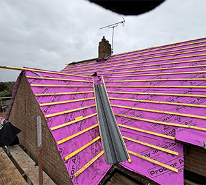 Eco Roof Construction