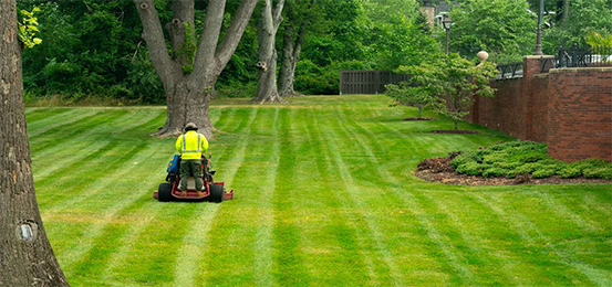 Eden Lawn and property solutions