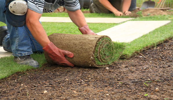 Eden lawn and Property Solutions