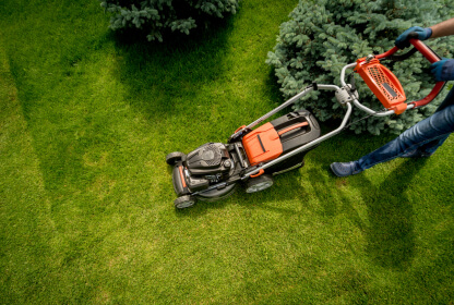 GP Gardening