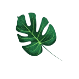 GP Gardening Solutions