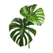 GP Gardening Solutions