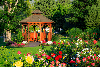 GP Garden