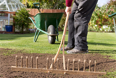 GP Gardening