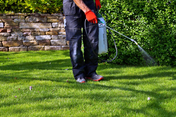 Pressure Washing