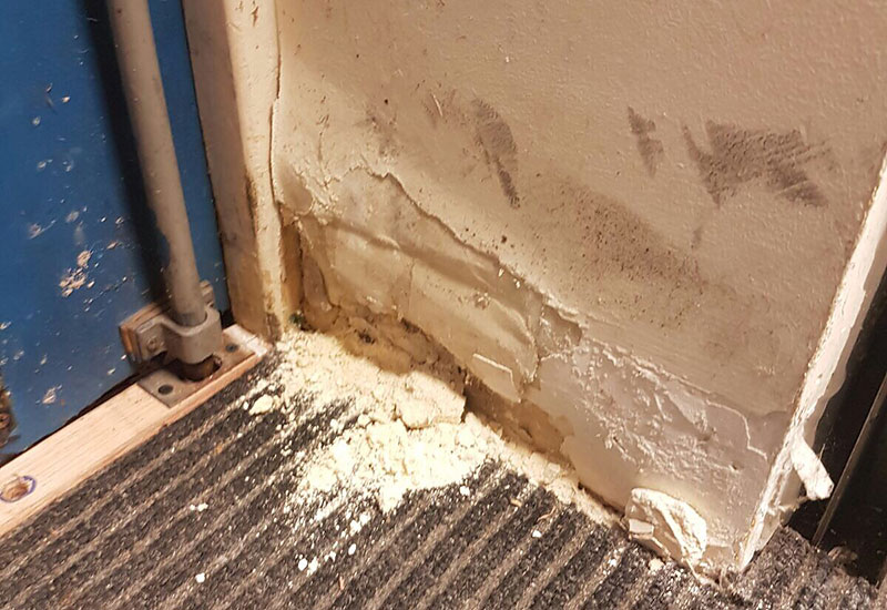 Rising Damp 