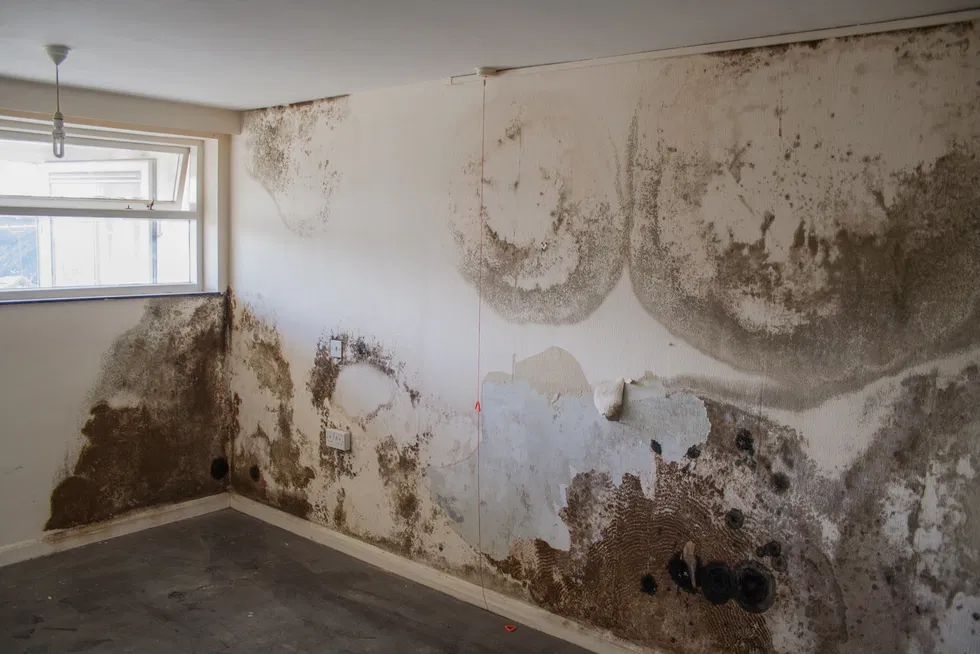 Penetrating Damp 