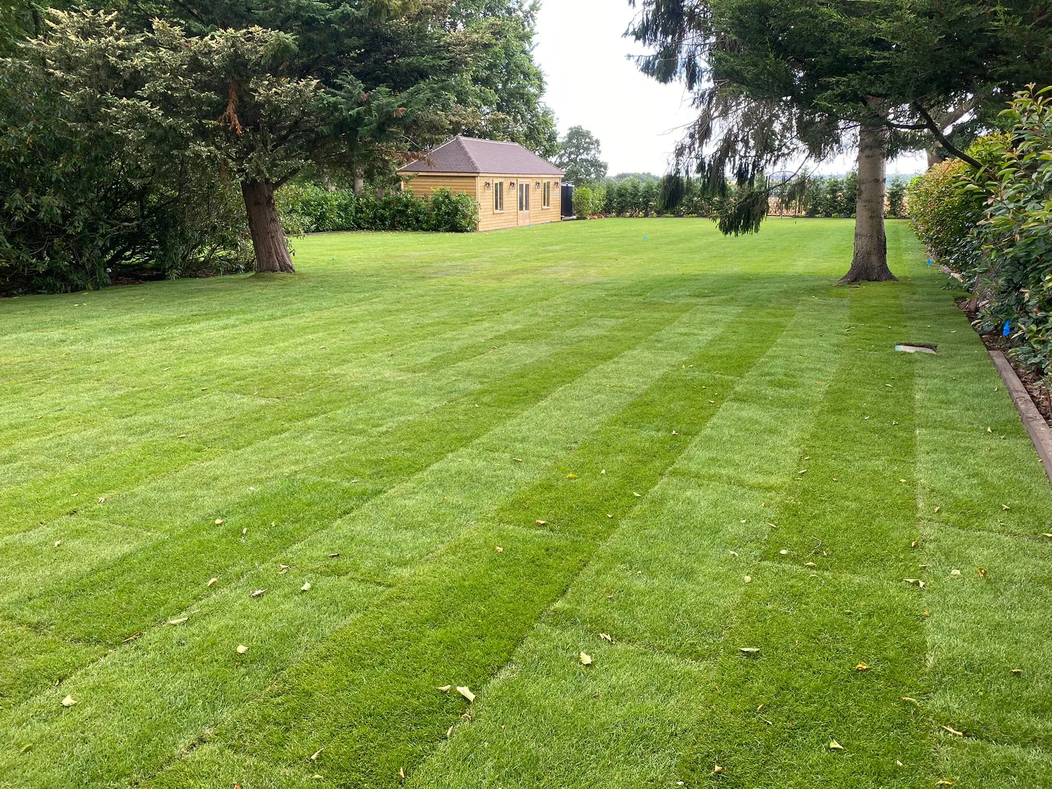 New Leaf Landscapes & Design