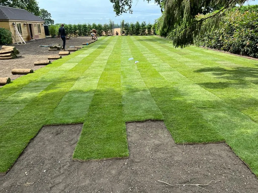 New Leaf Landscapes & Design