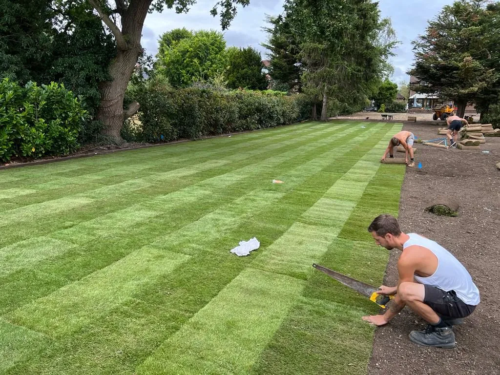 New Leaf Landscapes & Design