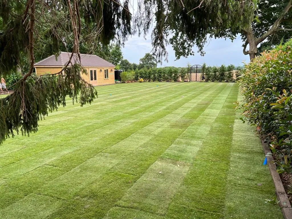 New Leaf Landscapes & Design