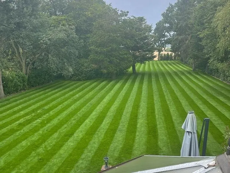 New Leaf Landscapes & Design