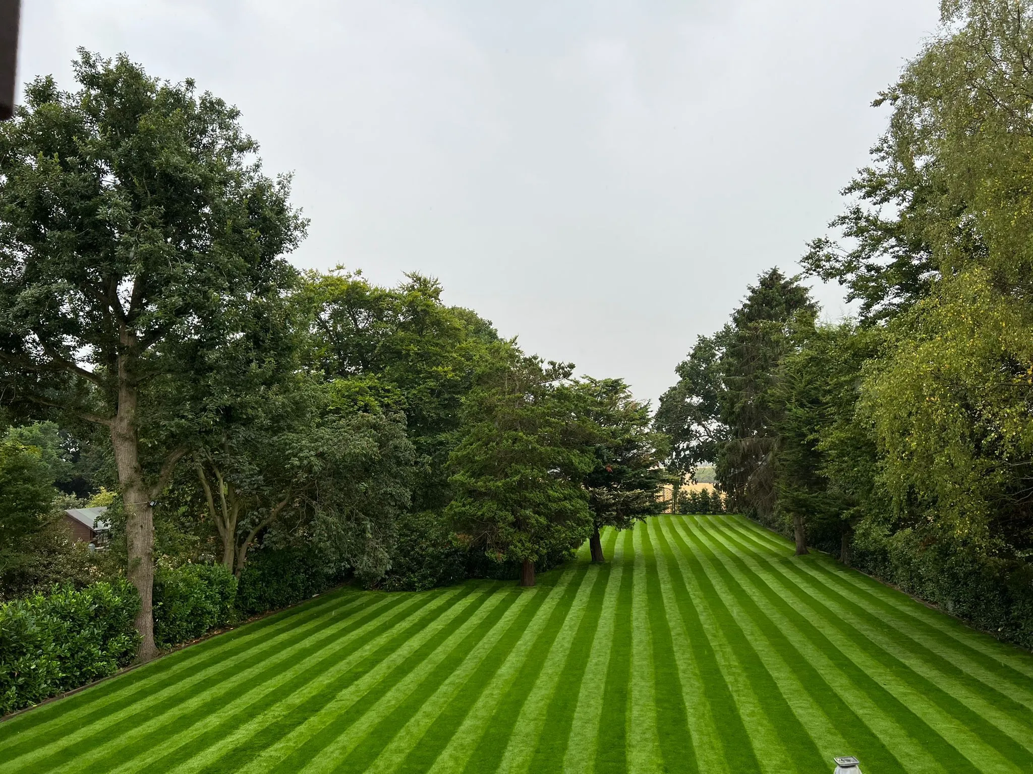 New Leaf Landscapes & Design