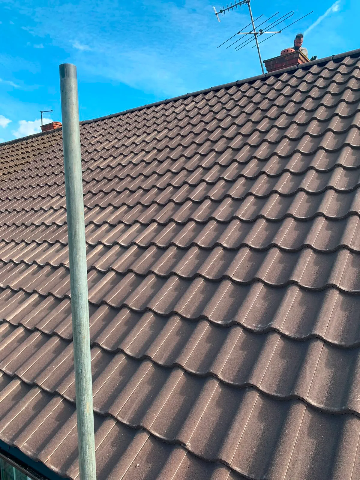 Signature Roofing and Building