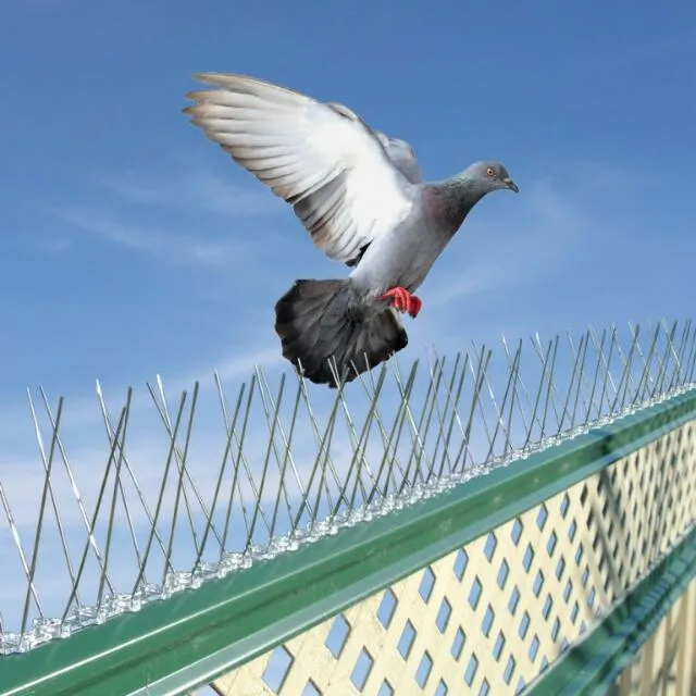 BIRD CONTROL