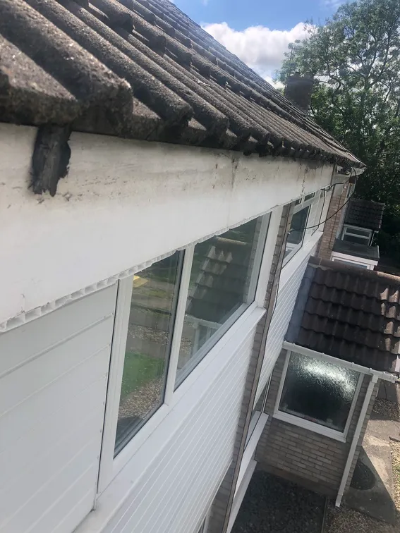 Ward Home Improvements Projects