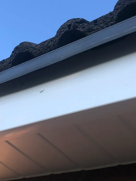 Ward Home Improvements Projects