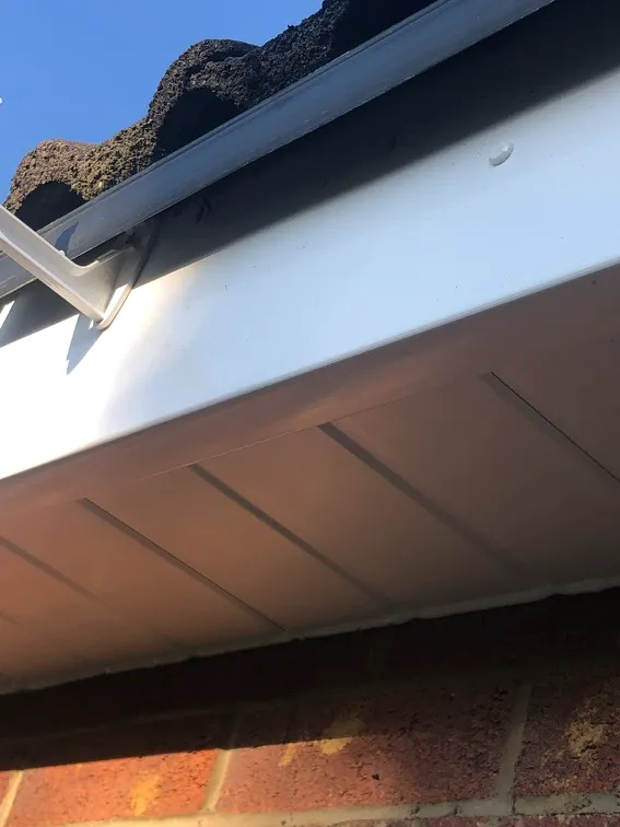 Ward Home Improvements Projects