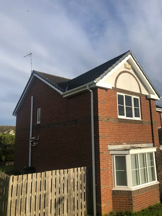 Ward Home Improvements Projects