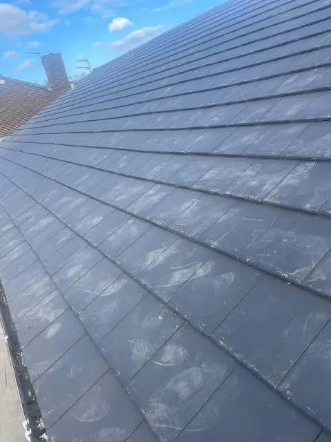 Ward Home Improvements Projects